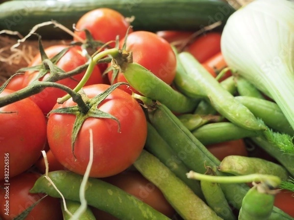 Obraz Légumes divers