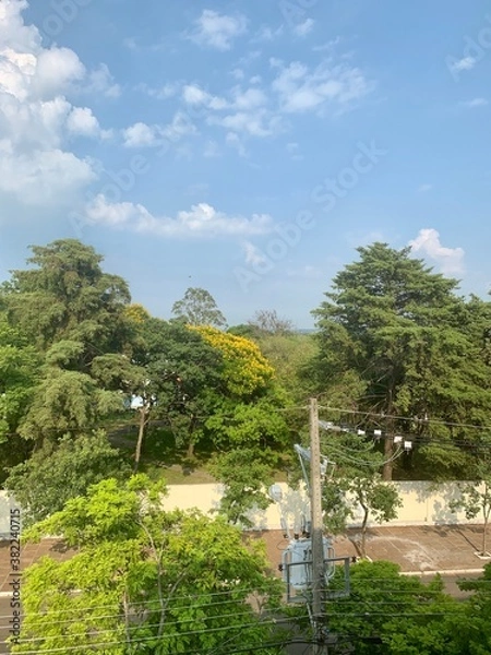 Obraz a path in the park