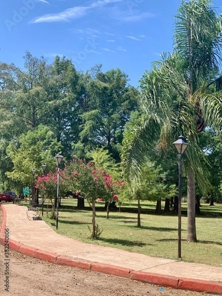 Obraz park in the park