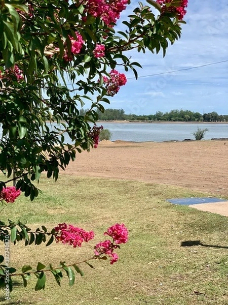 Obraz flowers in the garden