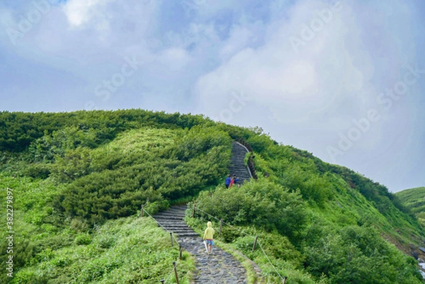 Obraz landscape in the mountains