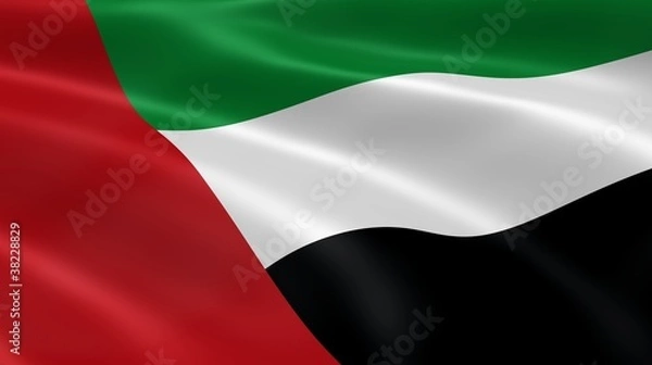 Obraz Emirati flag in the wind