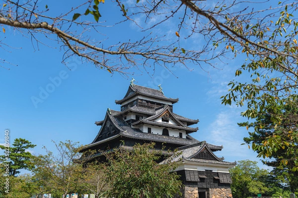 Fototapeta 松江城 国宝天守閣
