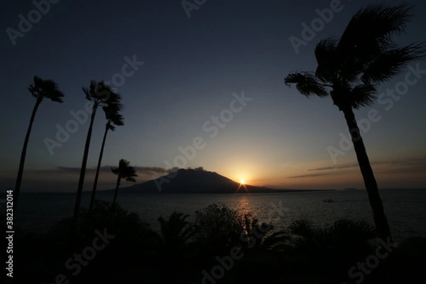Obraz 桜島と朝日