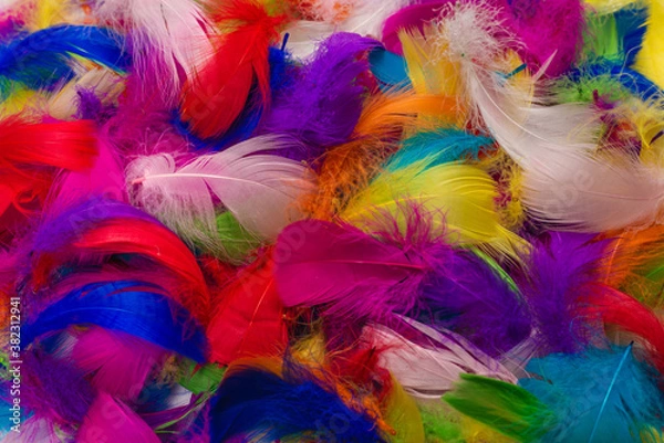 Fototapeta Colorful feather background.
