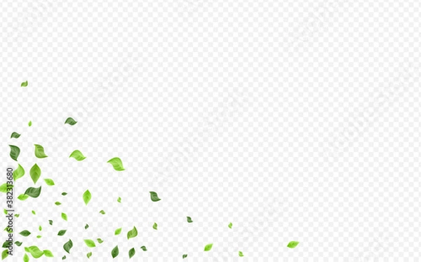 Obraz Green Greenery Blur Vector Transparent Background 