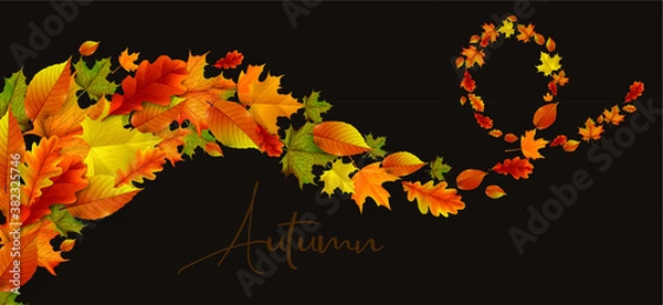Fototapeta Greetings and gifts for the autumn and autumn season concept. Autumn background, poster and banner template with colorful autumn leaves.