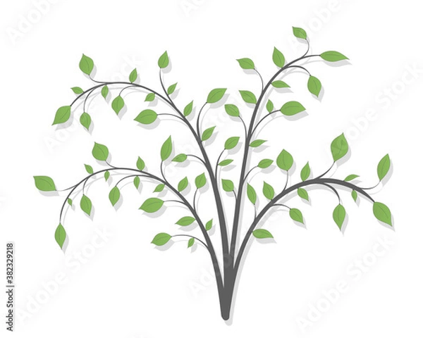 Fototapeta Illustration of a shrub plant with branches and green leaves on a white background