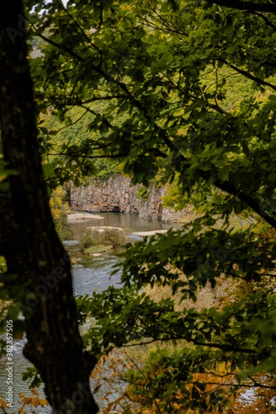 Obraz river in the woods