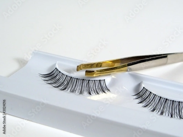 Obraz Eyelashes