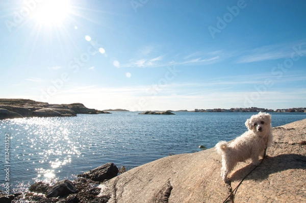 Obraz view from the sea