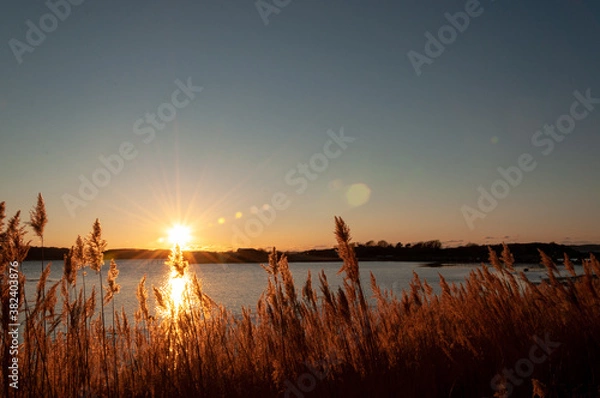 Obraz sunset over lake