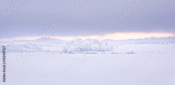 Obraz Snow landscape