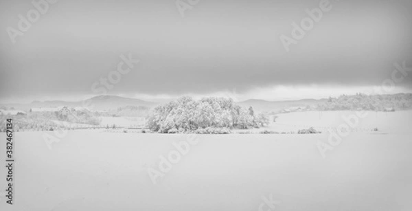 Obraz Snow landscape