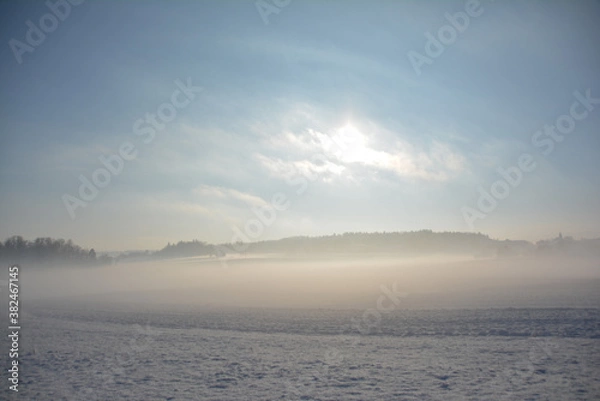 Obraz Snow landscape