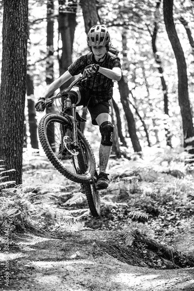 Obraz Mountain biker
