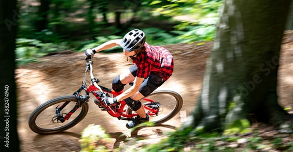 Obraz Mountain biker