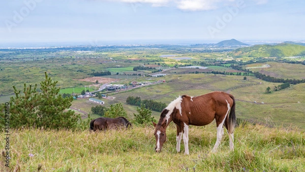 Obraz 용눈이오름 풍경