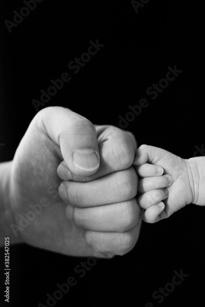 Fototapeta B&W photo,Fist of Dad and Newborn Baby,isolated on black background.