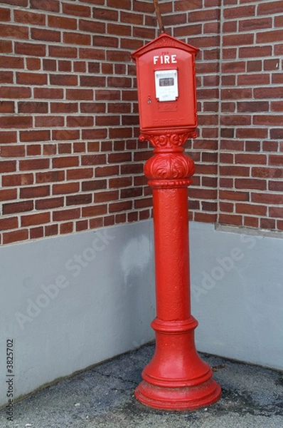 Obraz Fire alarm box and transmitter on pedestal