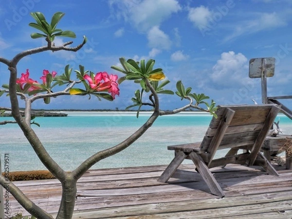 Obraz Paysage reposant des Caraïbes