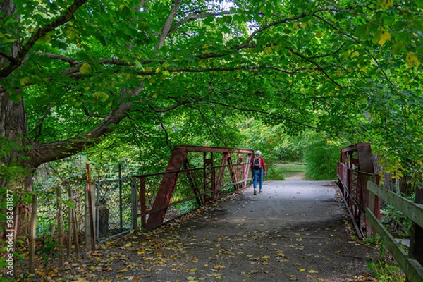Obraz Crossing a Bridge