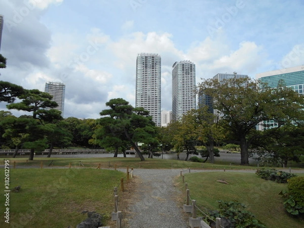 Fototapeta 秋の日本庭園（東京）