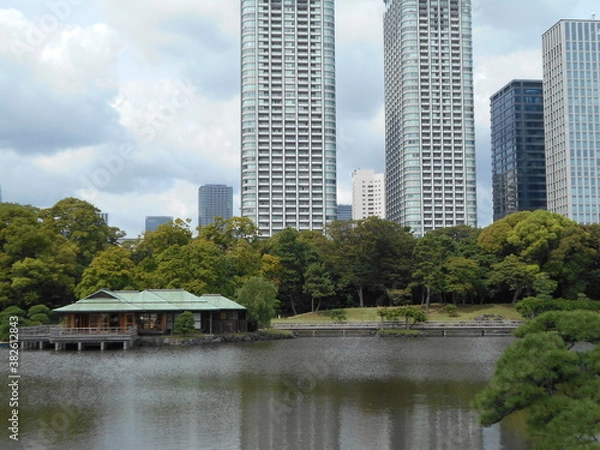 Fototapeta 秋の日本庭園（東京）