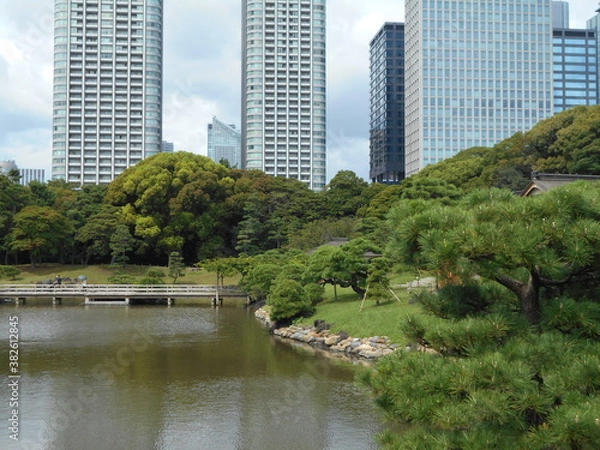 Fototapeta 秋の日本庭園（東京）