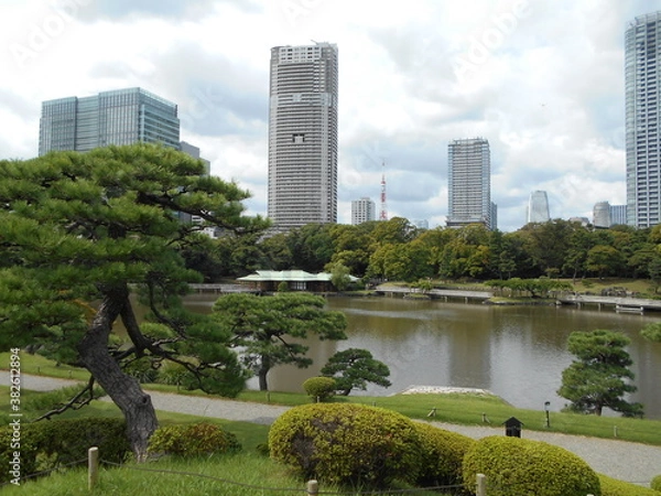 Fototapeta 秋の日本庭園（東京）
