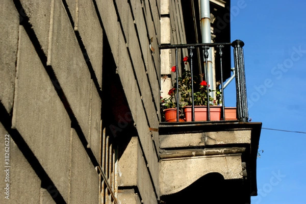 Obraz Saint Petersburg