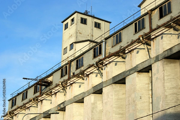 Obraz Saint Petersburg