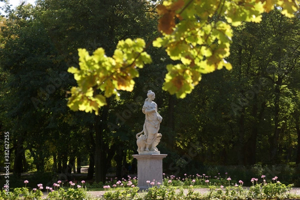 Obraz Saint Petersburg