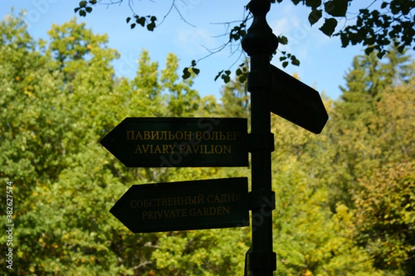 Obraz Saint Petersburg