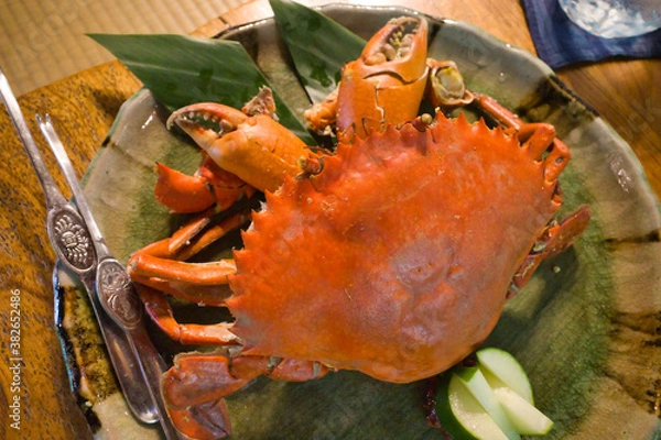 Obraz 沖縄県八重山諸島 石垣島のグルメ ノコギリガサミ
