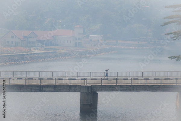 Obraz Sri Lanka Brücke
