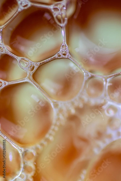 Fototapeta Air bubbles in the water and oil mixture create an artistic and imaginatively designed abstract background