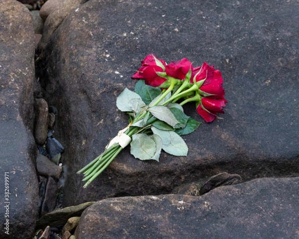 Obraz Love on the rocks