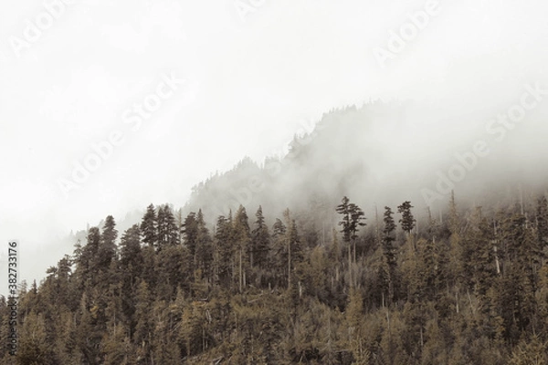 Obraz mountain cloud