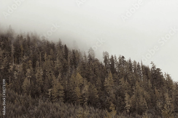 Obraz mountain cloud