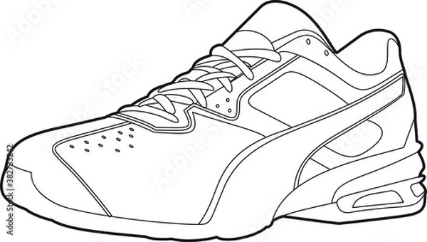 Fototapeta Professional Sneaker Vector / Line Drawing. Icon, Logo, Design, Element