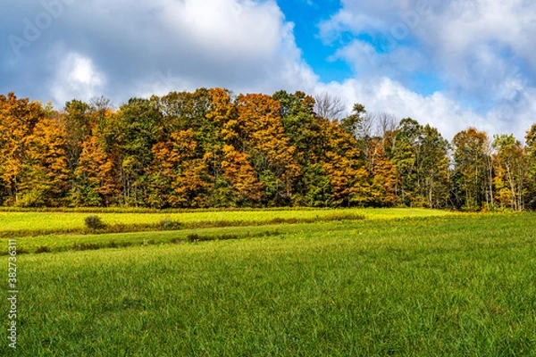 Fototapeta Autumn landscape