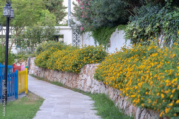 Obraz Spring landscape with colorful flowers