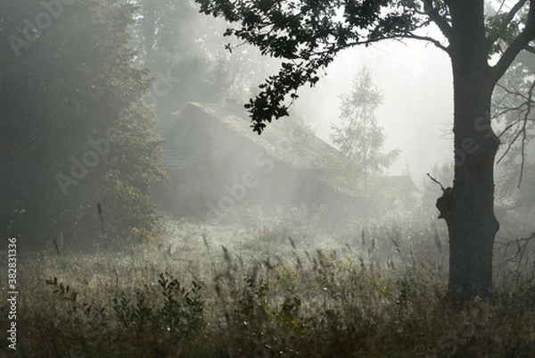 Obraz An old abandoned rustic house (cabin) in a fog at sunrise. Sun rays through the oak tree branches. Picturesque scenery. Idyllic rural scene. Fall season, concept art, architecture, eco tourism, nature