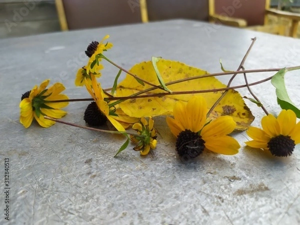 Obraz yellow flowers on the beach