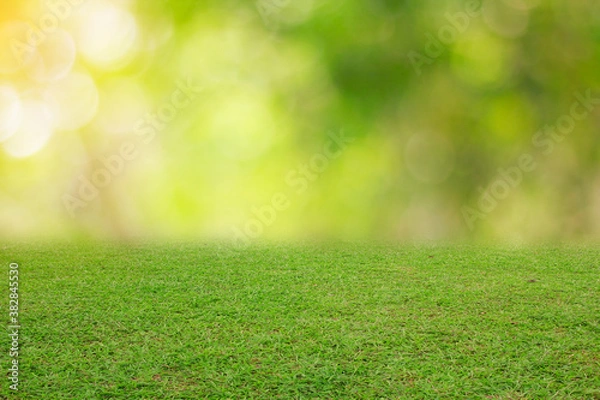Fototapeta nature spring grass background texture.