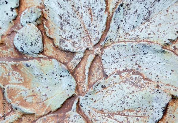 Obraz Blatt aus Bronze