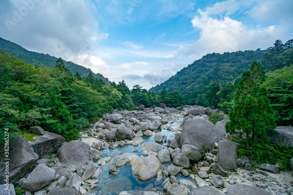 Obraz 屋久島の安房川