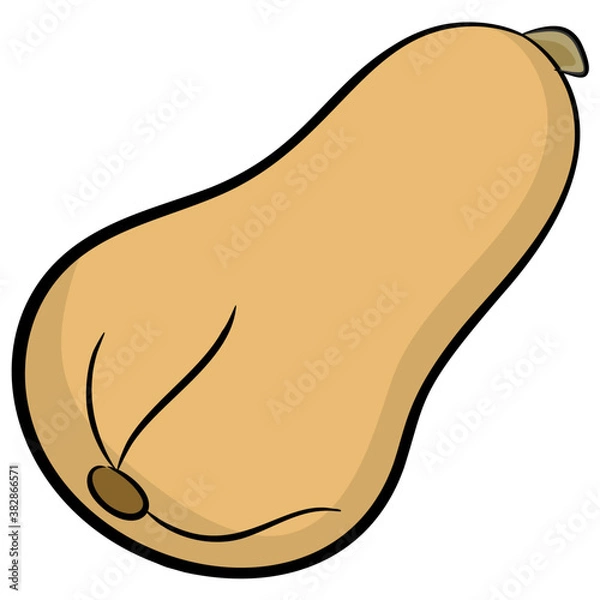 Obraz 
Cantaloupe icon vector, fruit 

