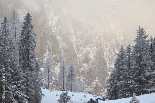 Fototapeta Winter mountain landscape. Snow covered trees in front of mountain backlit by beautiful golden light.